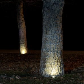 Outdoor Puck Light - LED Uplight for Trees, Landscape | DEKOR®